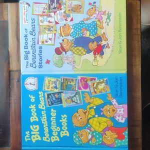 Berenstain Bears Big Books 2